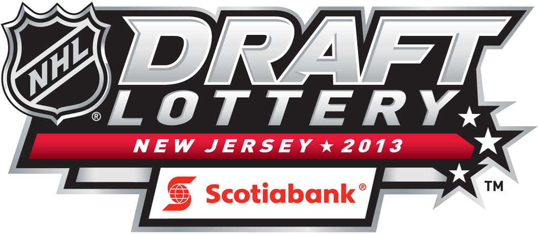 NHL Draft 2013 Misc Logo DIY iron on transfer (heat transfer)